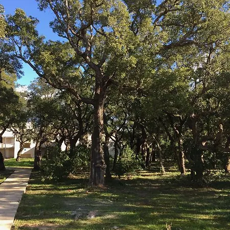 Apartahotel Luna Lecci